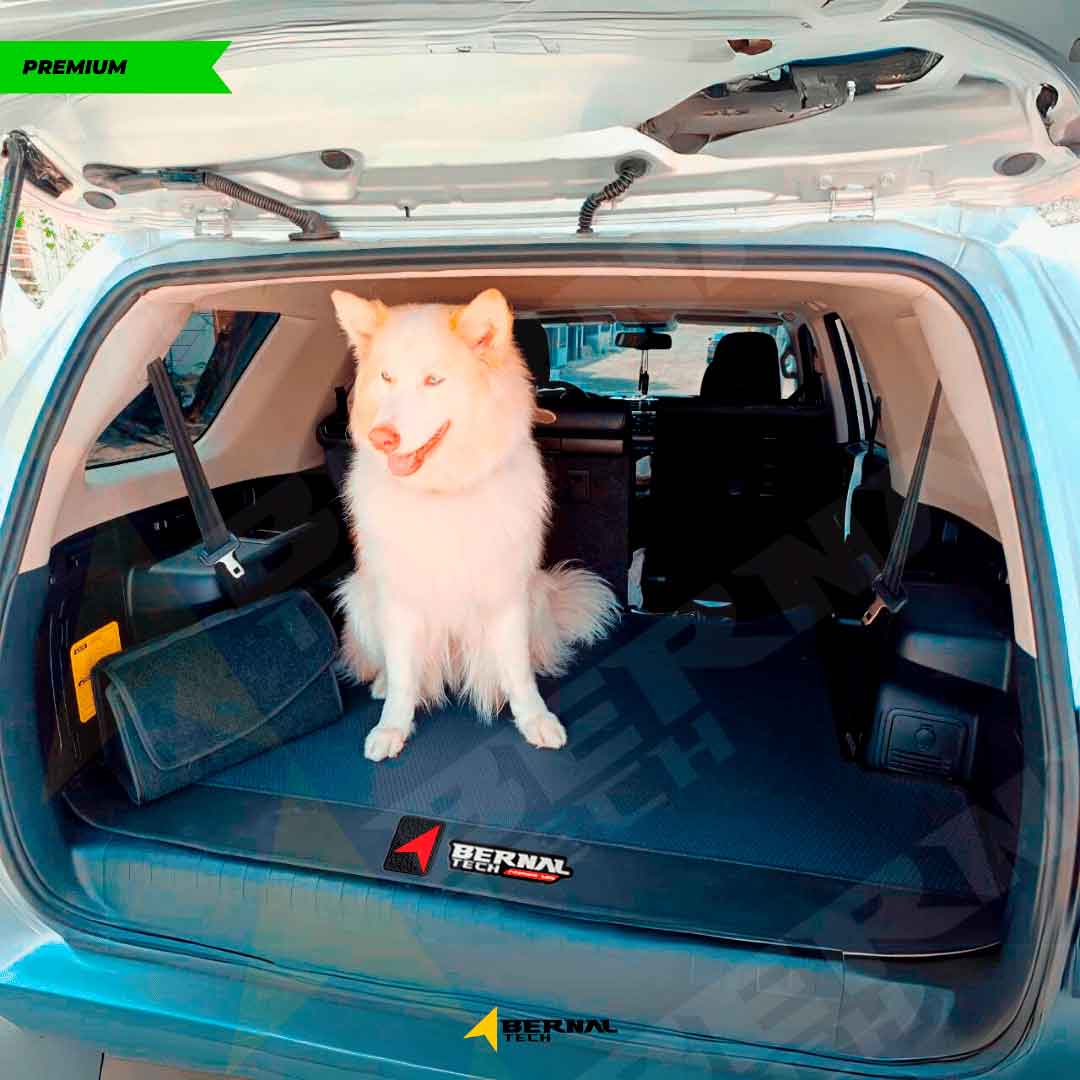 TAPETE PARA CARRO BAUL RENAULT STEPWAY 2014